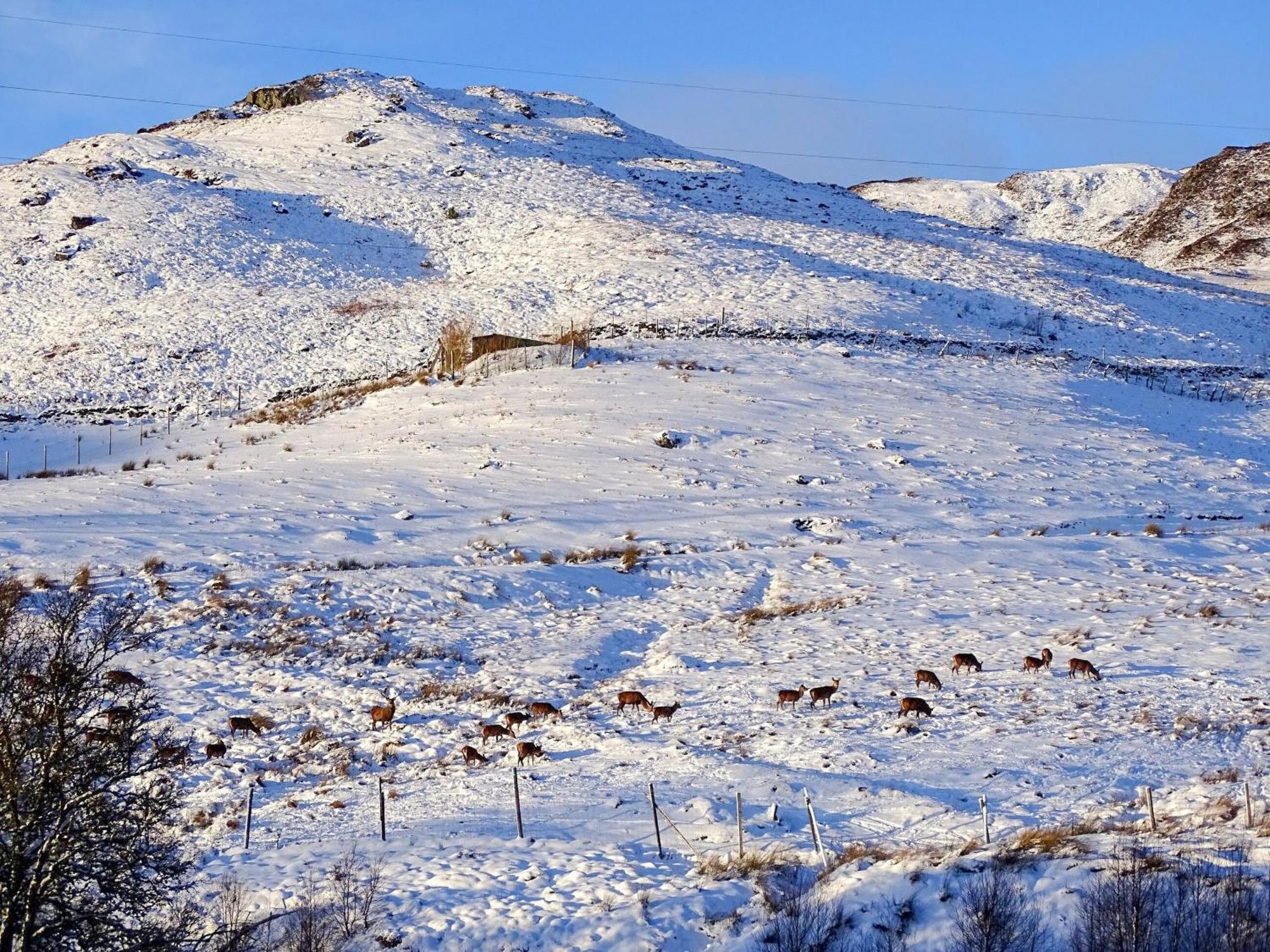 Glengoulandie Lodge المظهر الخارجي الصورة